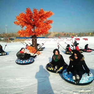 Snow rotation