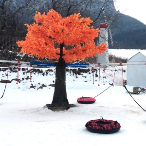 Snow rotation