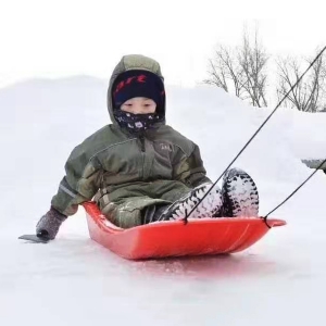 Ski Cart