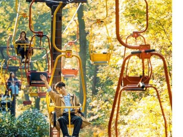 Low-altitude small cable car
