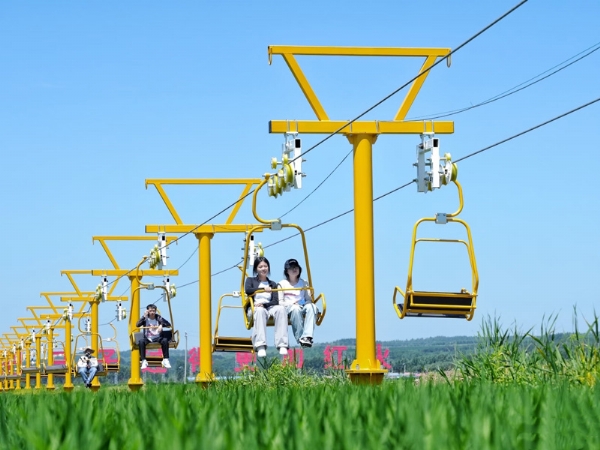 Low-altitude cable car