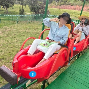 Monorail trolley