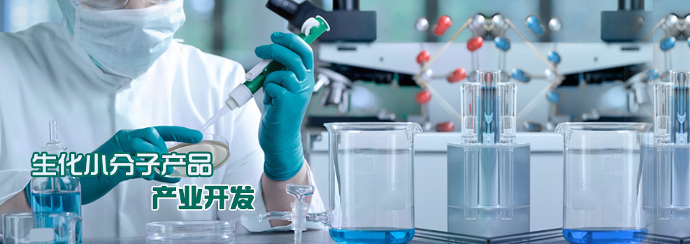 山東馳勝智能科技集團(tuán)有限公司