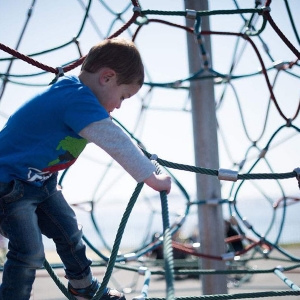 魔力樹(shù)網(wǎng)